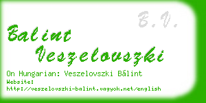 balint veszelovszki business card